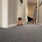 That morning stretch...