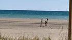 Deer running along beach at Bluffers Park.