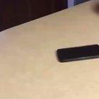 Quarantine, Siri (sound on)