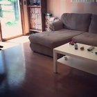 Perfect foot placement!