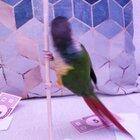 Saw this and thought of y'all!