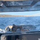 Katya being Katya (GFY)