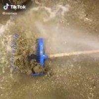 Never in my life have I seen such a chaotic turn of events 🤠