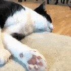 You knew the risks, but temptation was too great