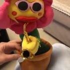 I'm not sleepy, okay?