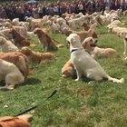 Guess this is what heaven looks like