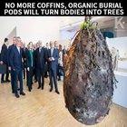 No more coffins, burial pods will turn bodies into trees