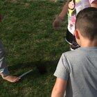 Kid finds 6 snakes in hole