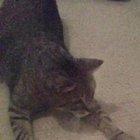 Samsung released a super slow mo feature. This was the only possible first test