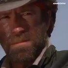 Chuck Norris has a good aim.