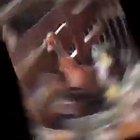 We'll see who has the last laugh....in the end