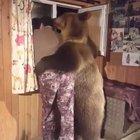 Watchu got there buddy credit u/amy2kim22