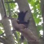 Just like that everything changed