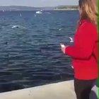 Losing concentration and feeding your phone to the birds instead of the bread