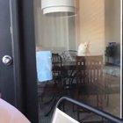 I'm gonna get you, lamp