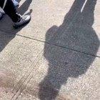 NY not handling this shit well