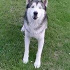 Just discovered thing why to use super slowmo