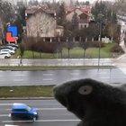 How not to go crazy during a quarantine