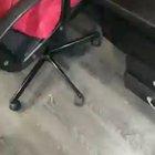 Находка у сына