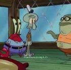 Vibe check 🦀🐙🐠