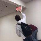 I need an explanation