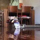 Let me sing you the song of my people