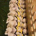 When they all wake up from their nap at once...