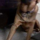 Get that god damn camera out of my face, Karen!