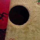 В черной дыре обнаружили жизнь