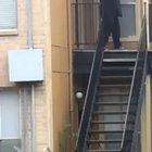 maintenance man squaring up w a possum