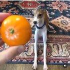 Something is very wrong