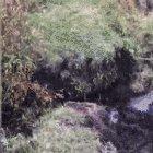 Sometimes the world IS gonna roll you