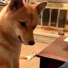 Hey, that was mine :(