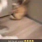 Friend sent me this gem