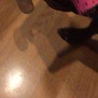 My pup got cheese on her nose and it was funny and adorable lol