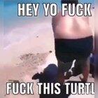 SAVING TURT FROM DROWNING, my fatih in human restored 😍🤩🥰🥰🥰🥰🤣😭😭😭😭😭