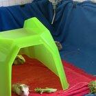 Happy first little popcorns