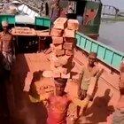 Hold My Red Bull - No Wheelbarrow, No Problem