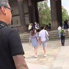 Meanwhile in Japan... 🙇🦌