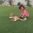 Moments before an unplanned prostate exam