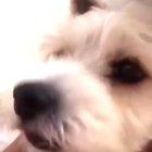 The moment of realisation.