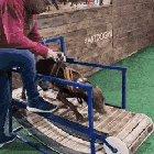 Treadmill Zoomies. Could Maybe Be Used To Power A Whole City?