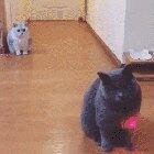 Hold still, I got this