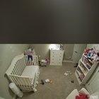 Dog isn’t allowed in baby’s room; also doesn’t know there is a camera installed.