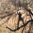 I never noticed how this man’s scream sounded familiar