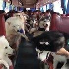 Imagine being inside :D