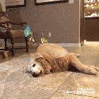 The animation is so well-timed with the video