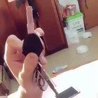 Starting the dog. (Sound)