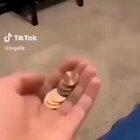 When companies see a video that can be copyright striked