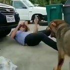 Hi human, I don't know what you're doing but I love you so much and I'm going to stay here in case you need my help